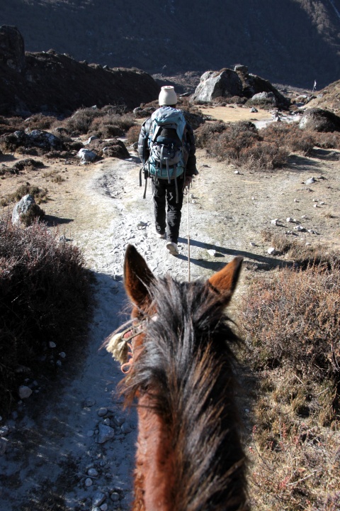 Riding the Himalayan