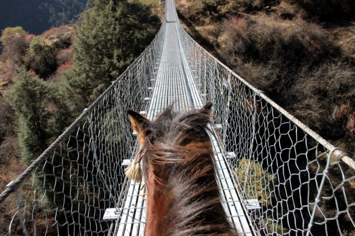 Adventure Point High Score!