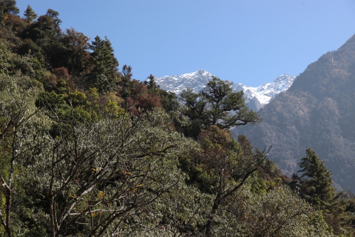 Langtang Valley