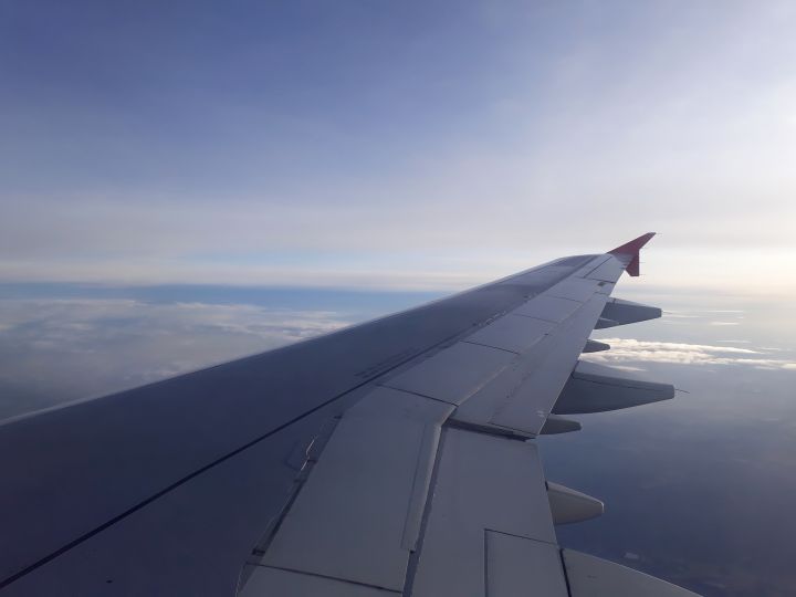 Zur&uuml;ck nach Hause