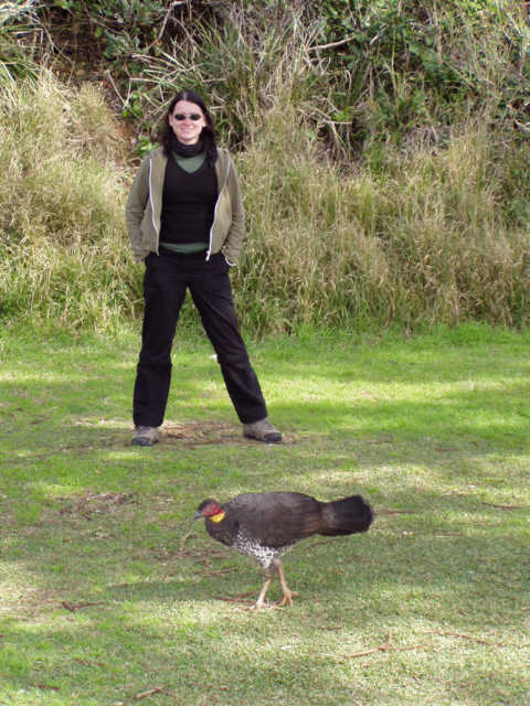 Kathleen mit Brush Turkey