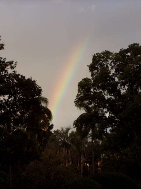 Brisbane Botanic Garden
