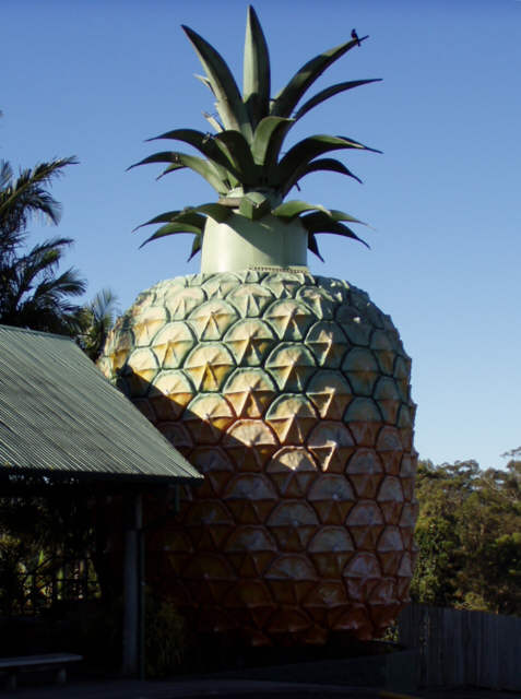 Big Pineapple