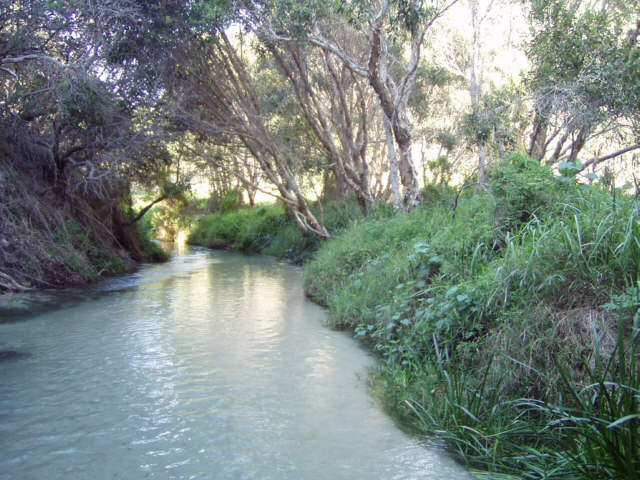 Eli Creek