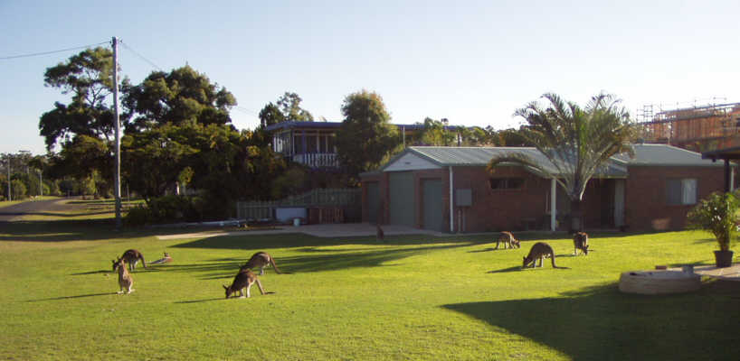 ROOs in Woodgate