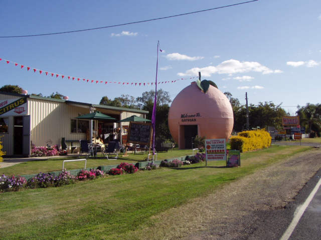 Gayndah Big Orange