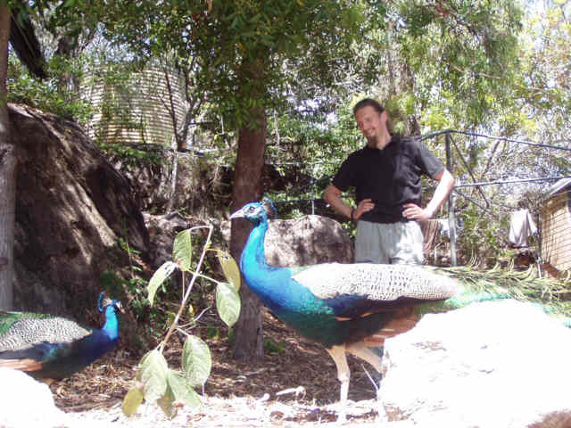 Horseshoe Bay Resort