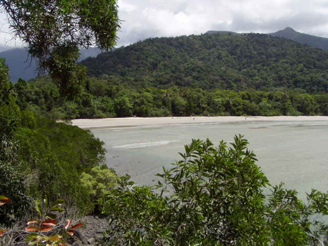 Cape Tribulation