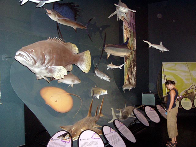 Museum & Art Gallery