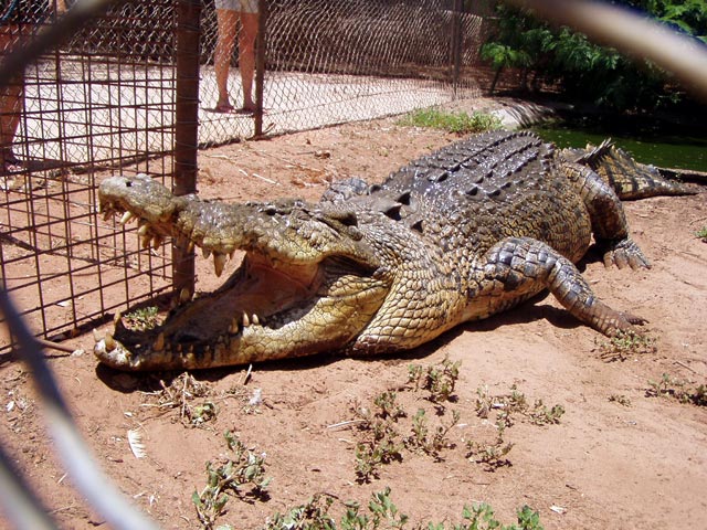 Broome Crocodile Park