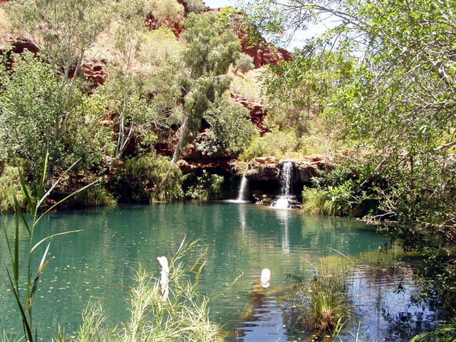 Fern Pool (Dales Gorge)