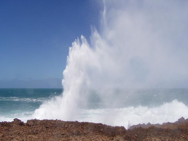 Blowholes
