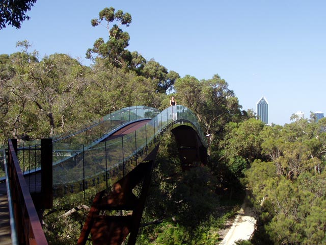 Kings Park Glass Bridge