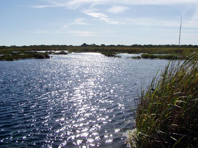 Piccaninnie Ponds