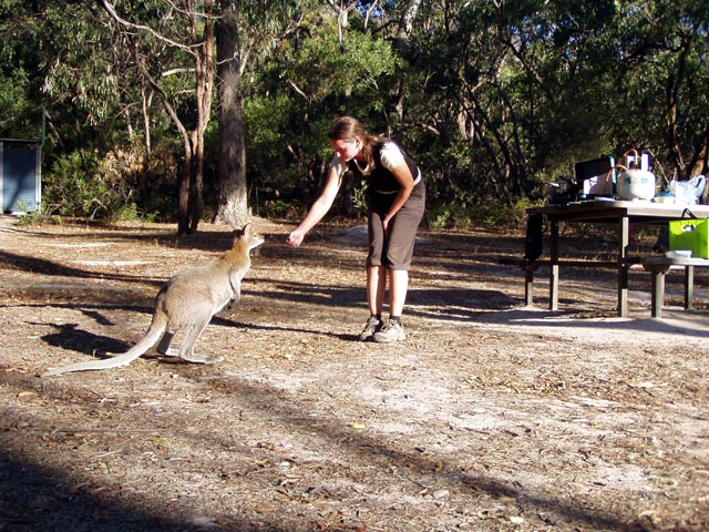 Troopers Creek Bushcamp