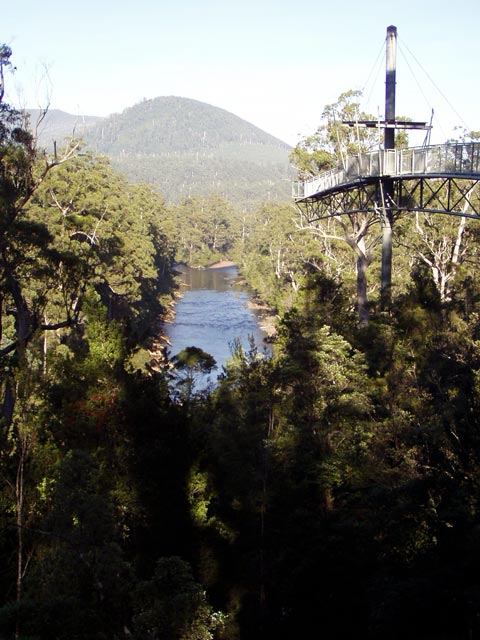 Tahune Forest AirWalk
