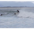 [Byron Bay Surfing Side]