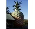 [Big Pineapple]
