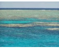 [Great Barrier Reef]