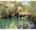 [Fern Pool (Dales Gorge)]