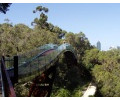 [Kings Park Glass Bridge]