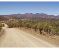 [Flinders Ranges N.P.]