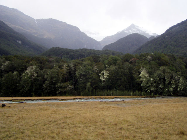 Waldrand