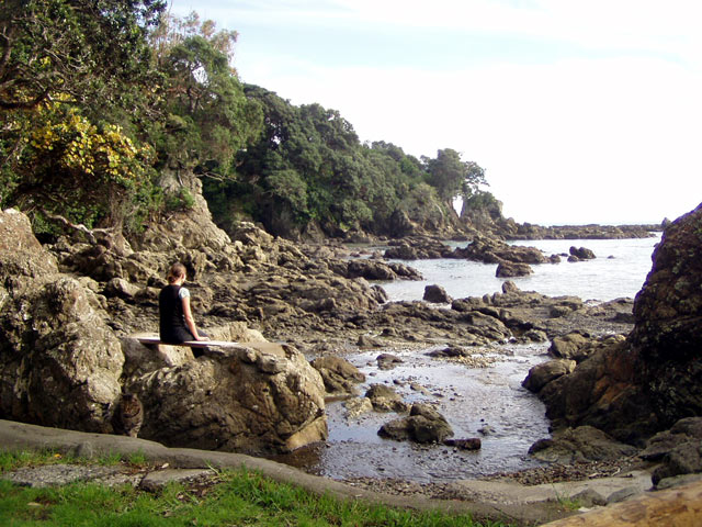 Whanarua Bay