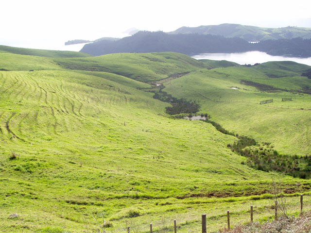 Coromandel Halbinsel