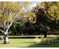 [Botanischer Garten]