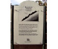 [Baldwin Street Dunedin]