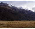 [Rees Valley]