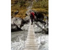 [Rees bridge]