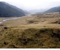 [Cattle Flat]