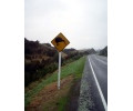 [Kiwi ahead]