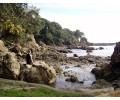[Whanarua Bay]