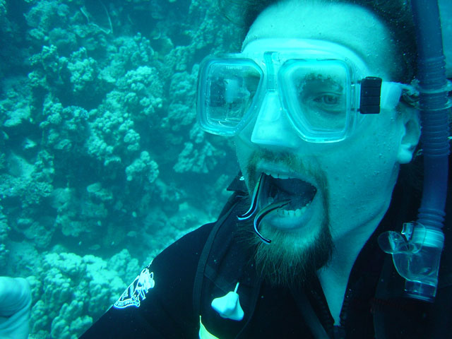 An der Putzerstation