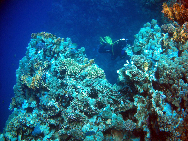 Uwe beim Fotografieren