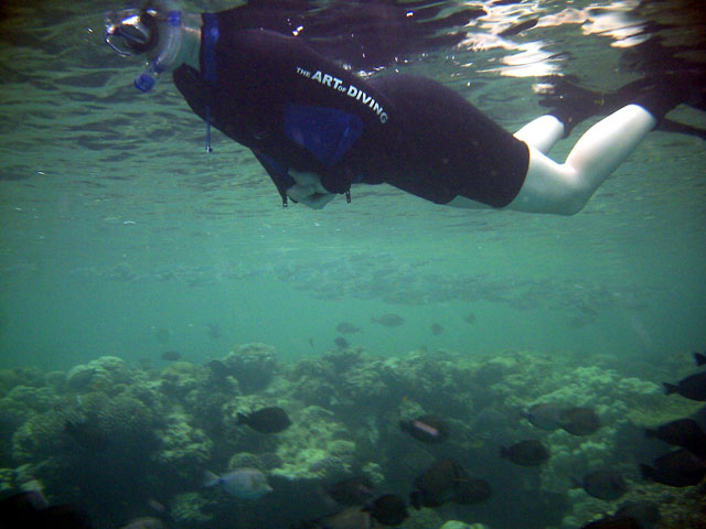 Kathleen schnorchelt