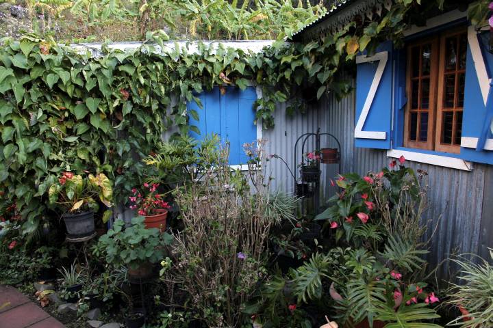 G&icirc;te in Roche Plate