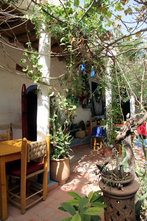 Im Schatten des Feigenbaums