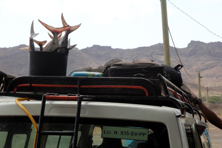 Fisch und unser Gep&auml;ck