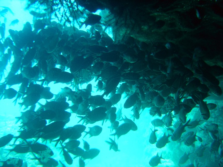 Fast kein Wasser dazwischen