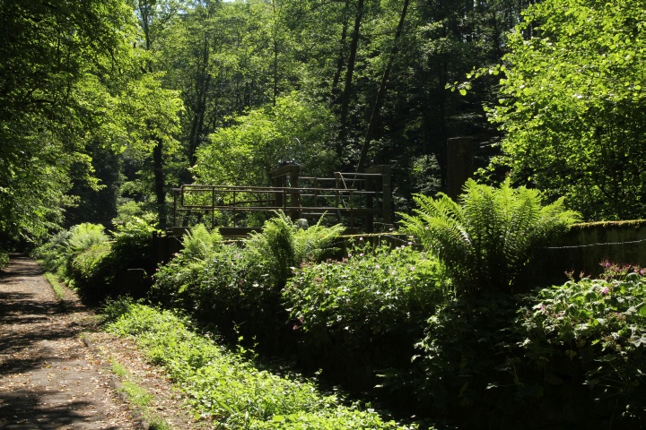 Liebethaler Grund  (Etappe 1)