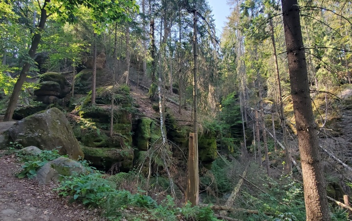 Ro&szlig;steig
