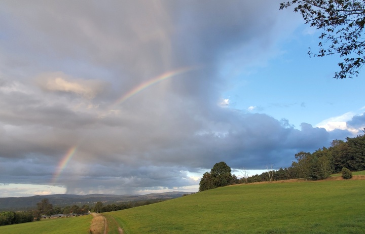 Regenbogen