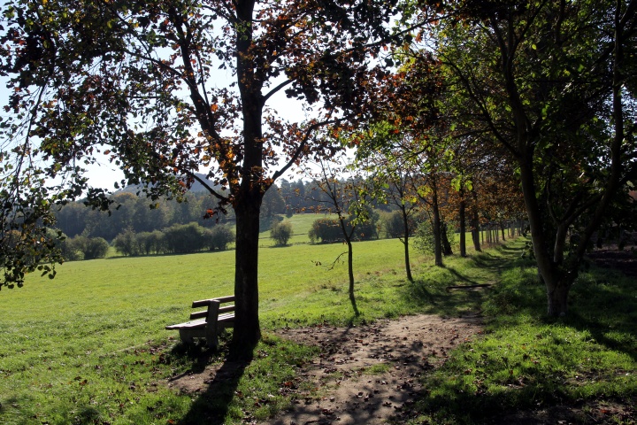 Anlauf von K&ouml;nigstein (Etappe 7) 