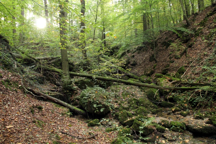 Waldbachtal